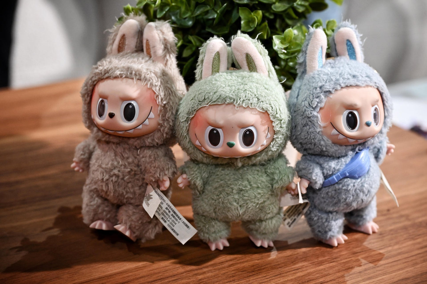 Labubu Doll Blind Box Random One Piece (Pack of 1, Multicolor)
